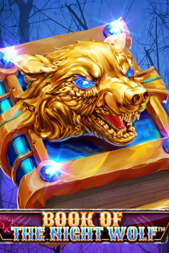 Book Of The Night Wolf
