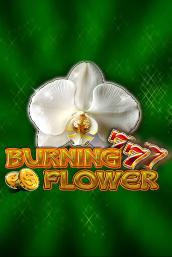 Burning Flower