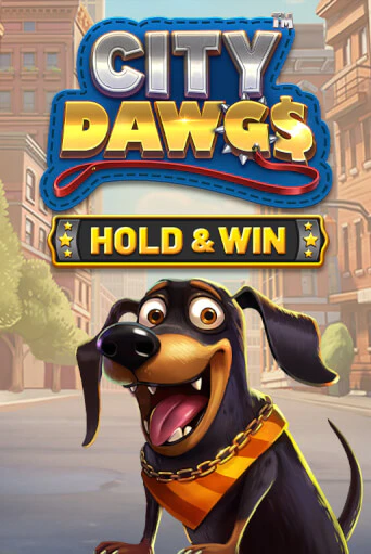 City Dawgs - Hold & Win