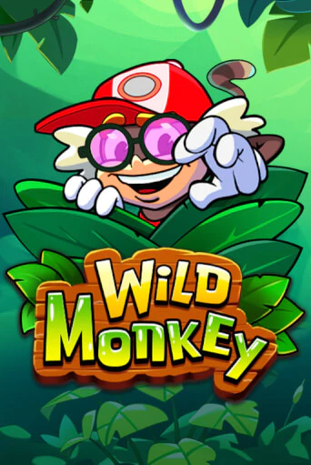 Wild Monkey