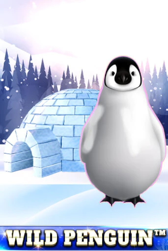 Wild Penguin